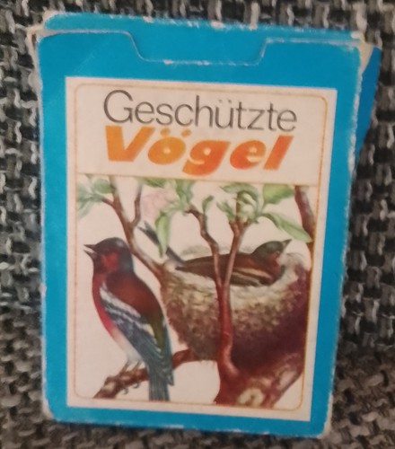 Geschützte vögel - geschützte, –