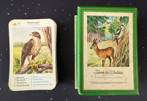 Quartett tiere des waldes - tiere,